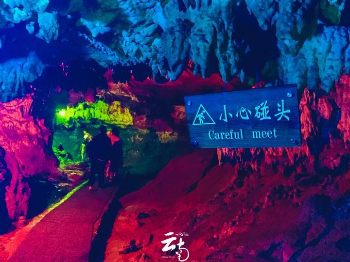 梦幻糖果森林逃生