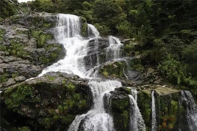山西白求恩医院拟成立山西省肠道微生态诊疗中心