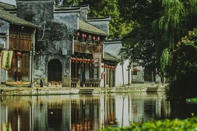 逃离棕榈树森林